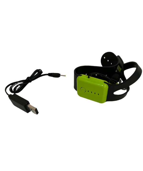 ماشین کنترلی کی تویز Kitoys مدل Wild