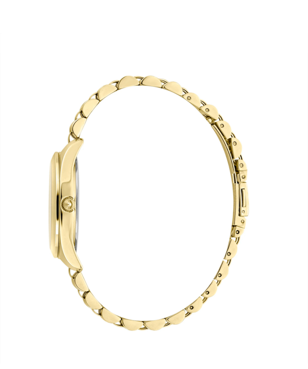 ساعت مچی زنانه جاست کاوالی Just Cavalli کد JC1L210M0265