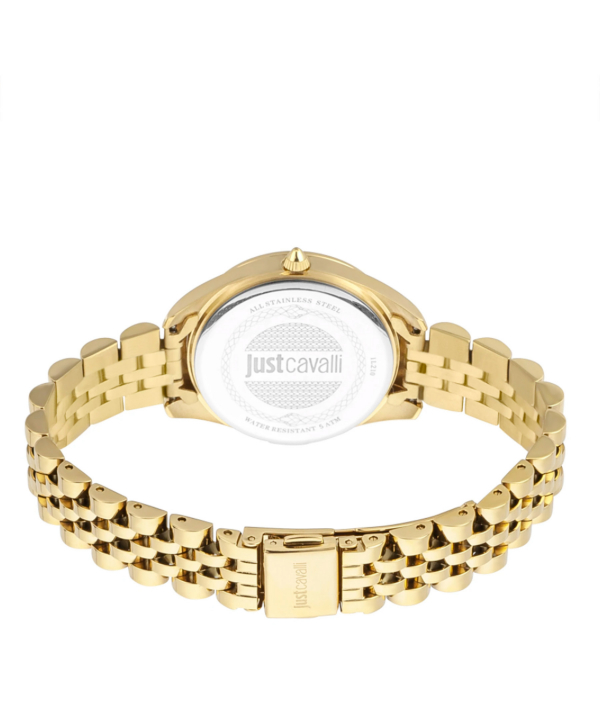 ساعت مچی زنانه جاست کاوالی Just Cavalli کد JC1L210M0265