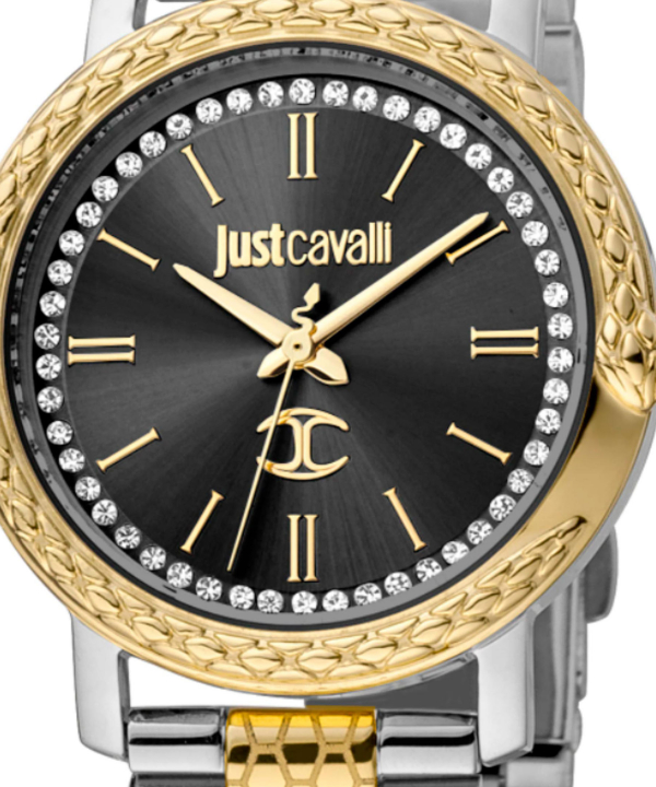 ساعت مچی زنانه جاست کاوالی Just Cavalli  کد JC1L212M0105