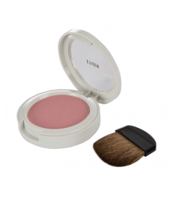 رژ گونه اتود شماره Face Blusher 21