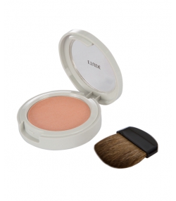 رژ گونه اتود شماره Face Blusher 21