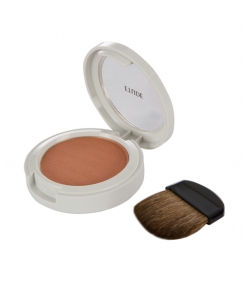 رژ گونه اتود شماره Face Blusher 21