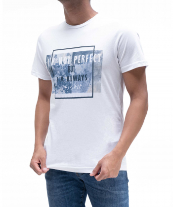 تیشرت چاپی مردانه آر ان اس RNS کد 12021540