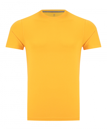 تیشرت مردانه سیاوود Siawood کد 8020400