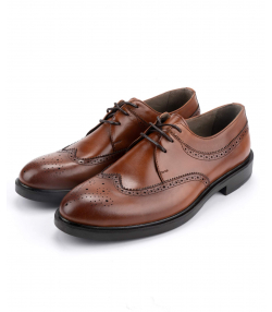 کفش مردانه چرم طبیعی شهر چرم Leather City کد F6095