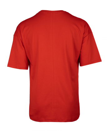 تیشرت چاپی مردانه آروما Aroma کد 13801211