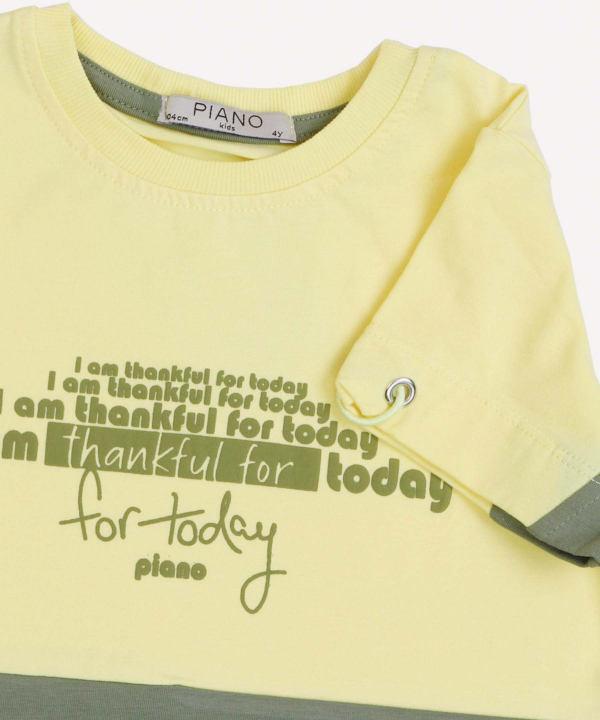 تیشرت دو رنگ پسرانه پیانو Piano کد 1931