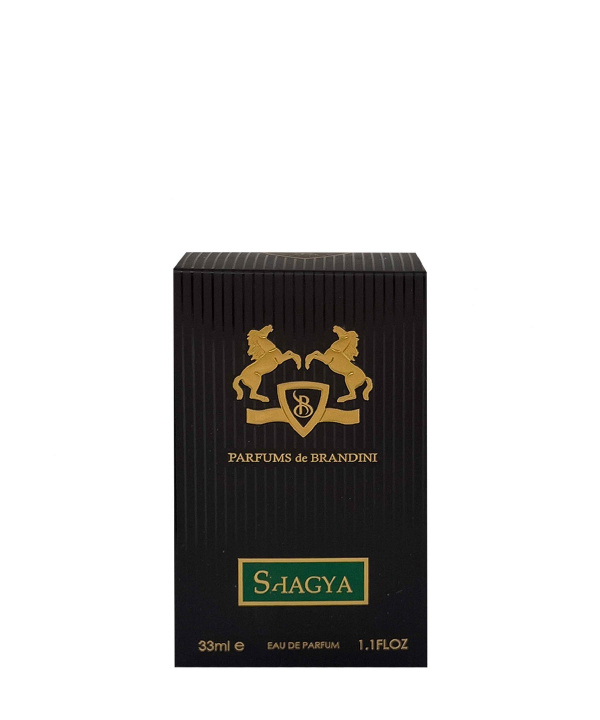 عطر جیبی مردانه  برندینی Brandini مدلMarly -Shagya
