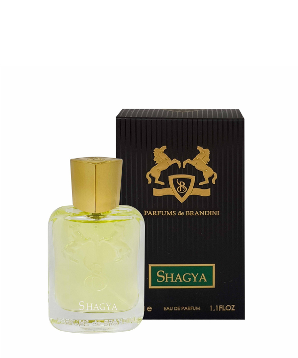 عطر جیبی مردانه  برندینی Brandini مدلMarly -Shagya