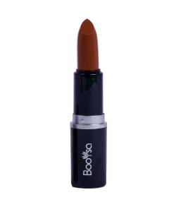رژ لب جامد بویسا Booysa وزن 3.5 گرم