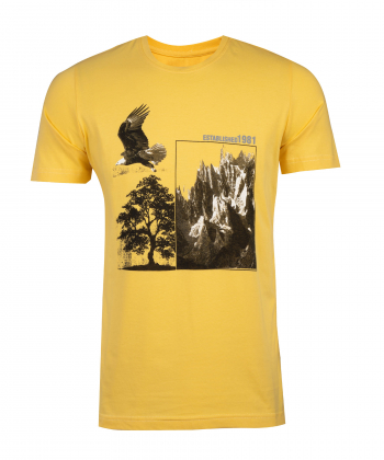 تیشرت مردانه جامه پوش آرا JPA کد4011010431