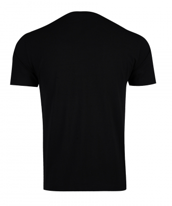 تیشرت طرح دار مردانه جین وست Jeanswest کد 22173029