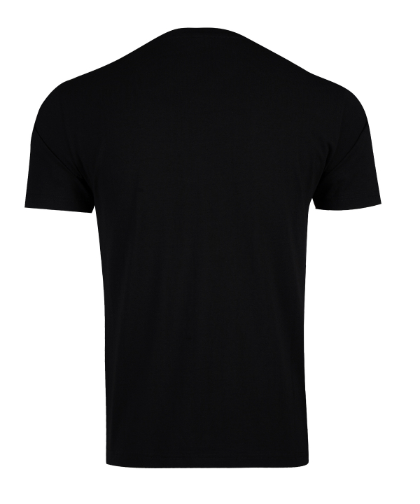 تیشرت طرح دار مردانه جین وست Jeanswest کد 22173029