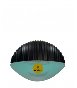 عطر جیبی زنانه برندینی Brandini مدل World حجم 25 میلی لیتر