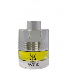عطر جیبی مردانه برندینی Brandini مدل Wanted حجم 25 میلی لیتر