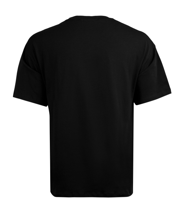 تیشرت آستین کوتاه مردانه ورساچه جینز Versace Jeans کد 528