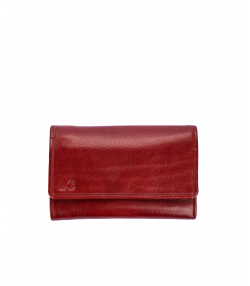 کیف پاسپورتی چرم طبیعی شهر چرم Leather City کد H3019