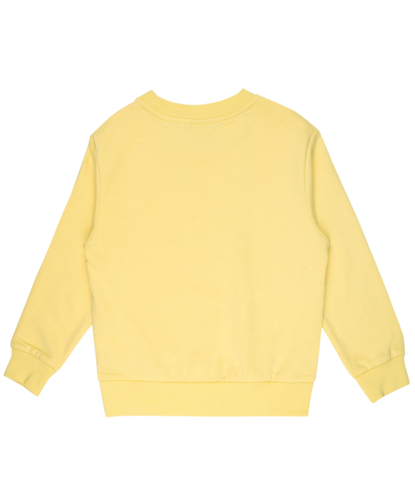 سویشرت نازک دخترانه جین وست Jeanswest کد 11671501