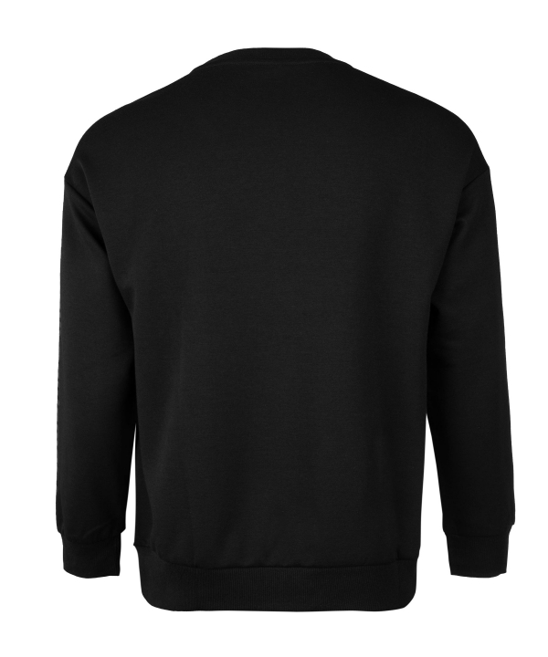 سویشرت نازک مردانه جین وست Jeanswest کد 13171519