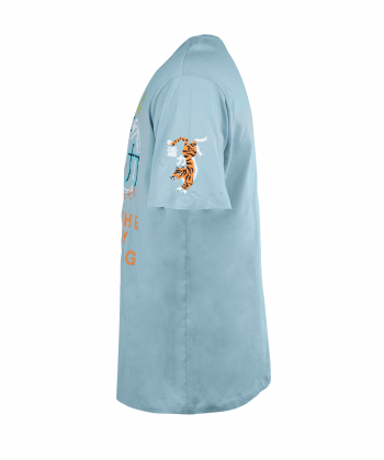 تیشرت مردانه کوتون Koton کد 2SAM10791HK