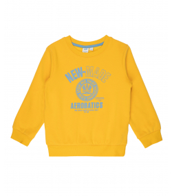 سویشرت یقه گرد پسرانه جین وست Jeanswest کد 03571543