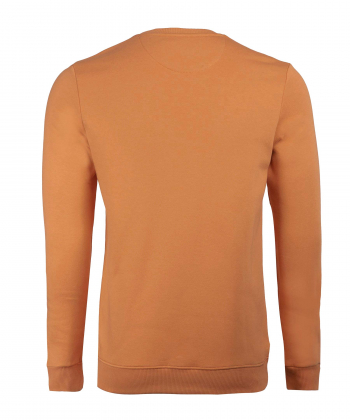 سویشرت مردانه آروما Aroma کد 2-12501001