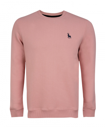 سویشرت مردانه آروما Aroma کد 2-12501001