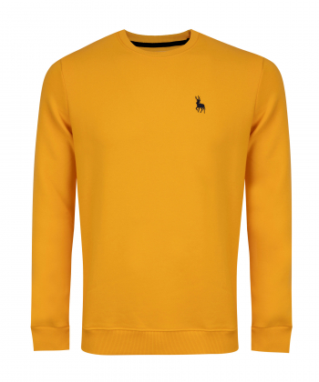 سویشرت مردانه آروما Aroma کد 2-12501001