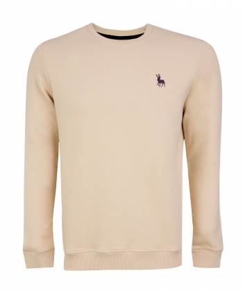 سویشرت مردانه آروما Aroma کد 2-12501001