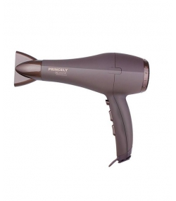 سشوار 2000وات DC  PR240