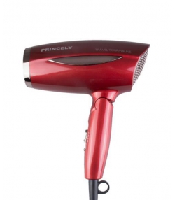سشوار دسته تاشو پرینسلی Princely مدل PR261AT