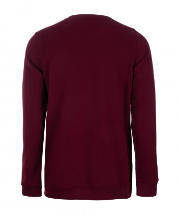 سویشرت مردانه جامه پوش آرا JPA کد 4561011057