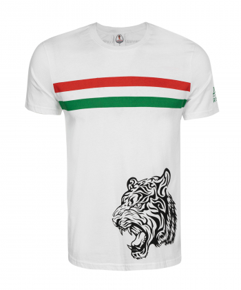 تیشرت مردانه  ال سی وایکیکی LC Waikiki کد8SE884Z8