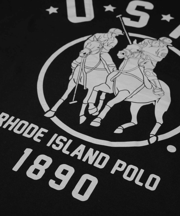 تیشرت مردانه یو اس پولو US Polo کد 3104d1