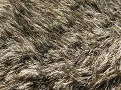 fur_400x300