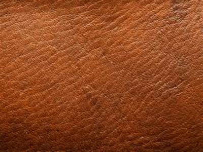 leather_400x300