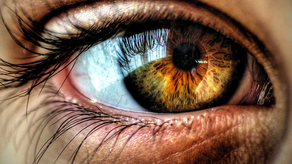 رنگ چشم های هیزل یا فندقی hazel eyes چگونه است؟ چگونه آرایش کنند؟