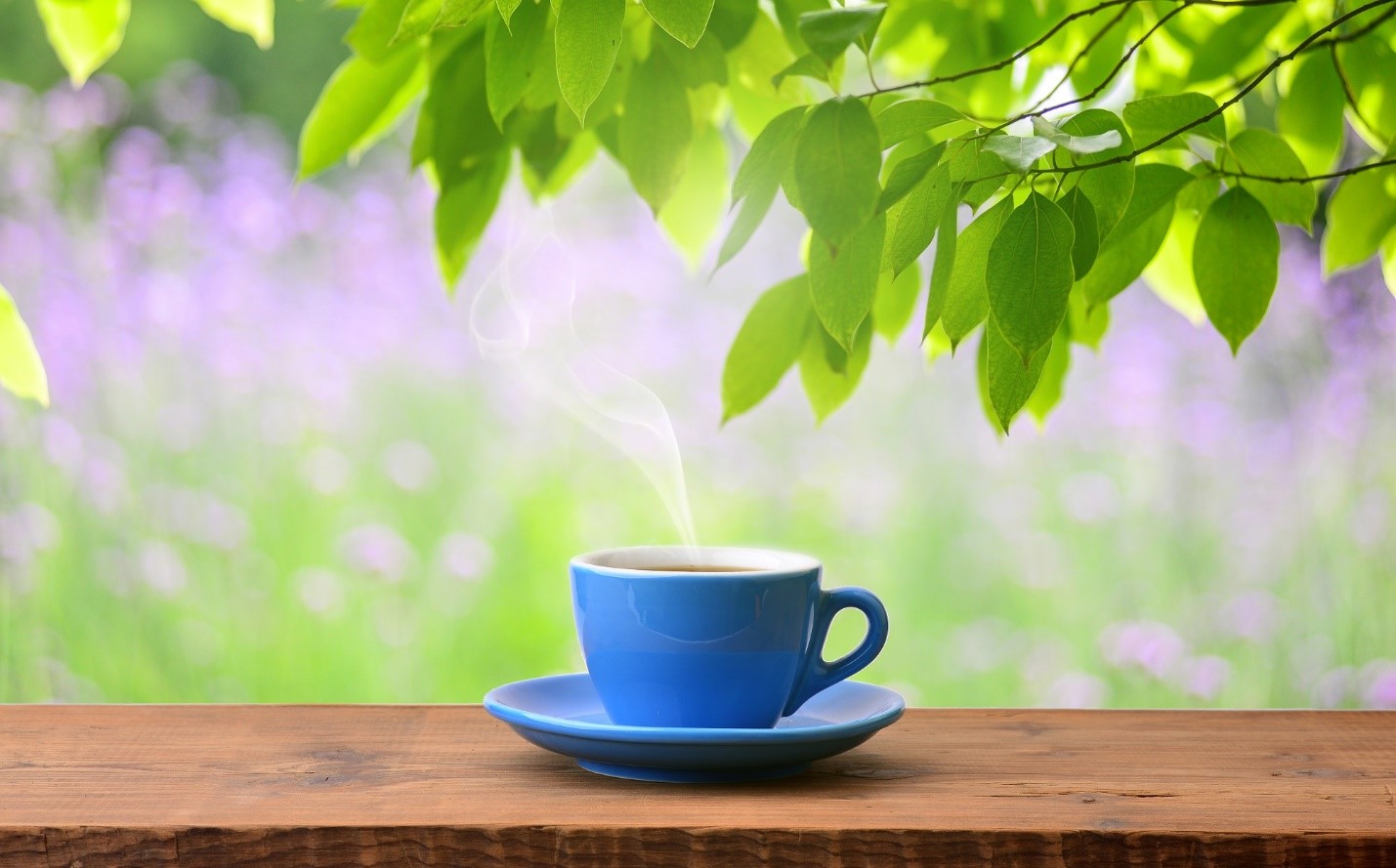 تاثیر چای در کاهش اضطراب