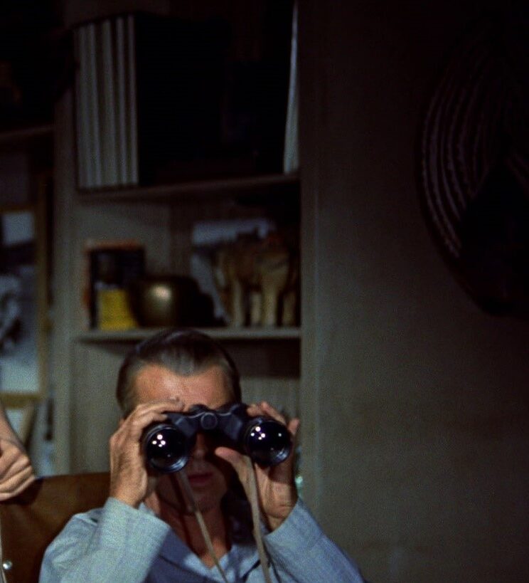 The Rear Window (پنجره پشتی)