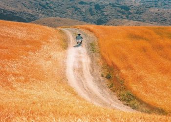 فیلم ایرانی