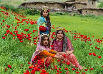 زبان و گویش اقوام جنوب ایران