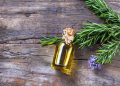 روغن رزماری، اکسیر جوانی قرن بیست و یک!