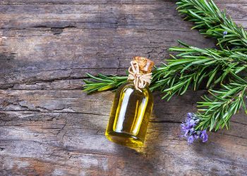 روغن رزماری، اکسیر جوانی قرن بیست و یک!