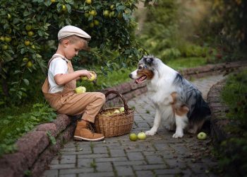 مدل شلوار پیش بندی پسرانه، لباس بچه گانه جذاب