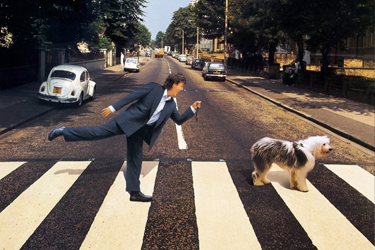Paul is live. Paul is live. Paul is live пол маккартни. пол маккартни abbey road. Paul is live.