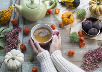 انواع دمنوش برای فصل پاییز با انواع میوه‌ها و گیاهان پاییزی