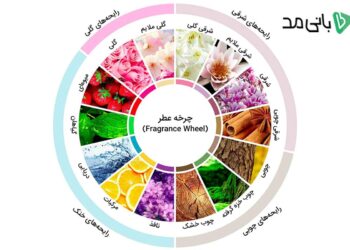 نت عطر چیست؟ راهنمای شناخت و تشخیص انواع نت‌های عطر