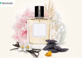 مشک چیست؟ تفاوت مشک و عنبر