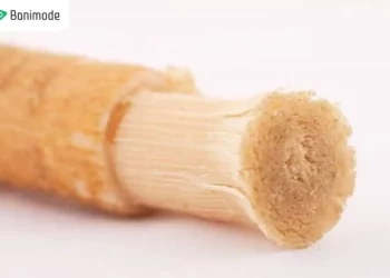 طرز استفاده از چوب مسواک | چگونه با چوب مسواک دندان‌های خود را مسواک بزنیم؟